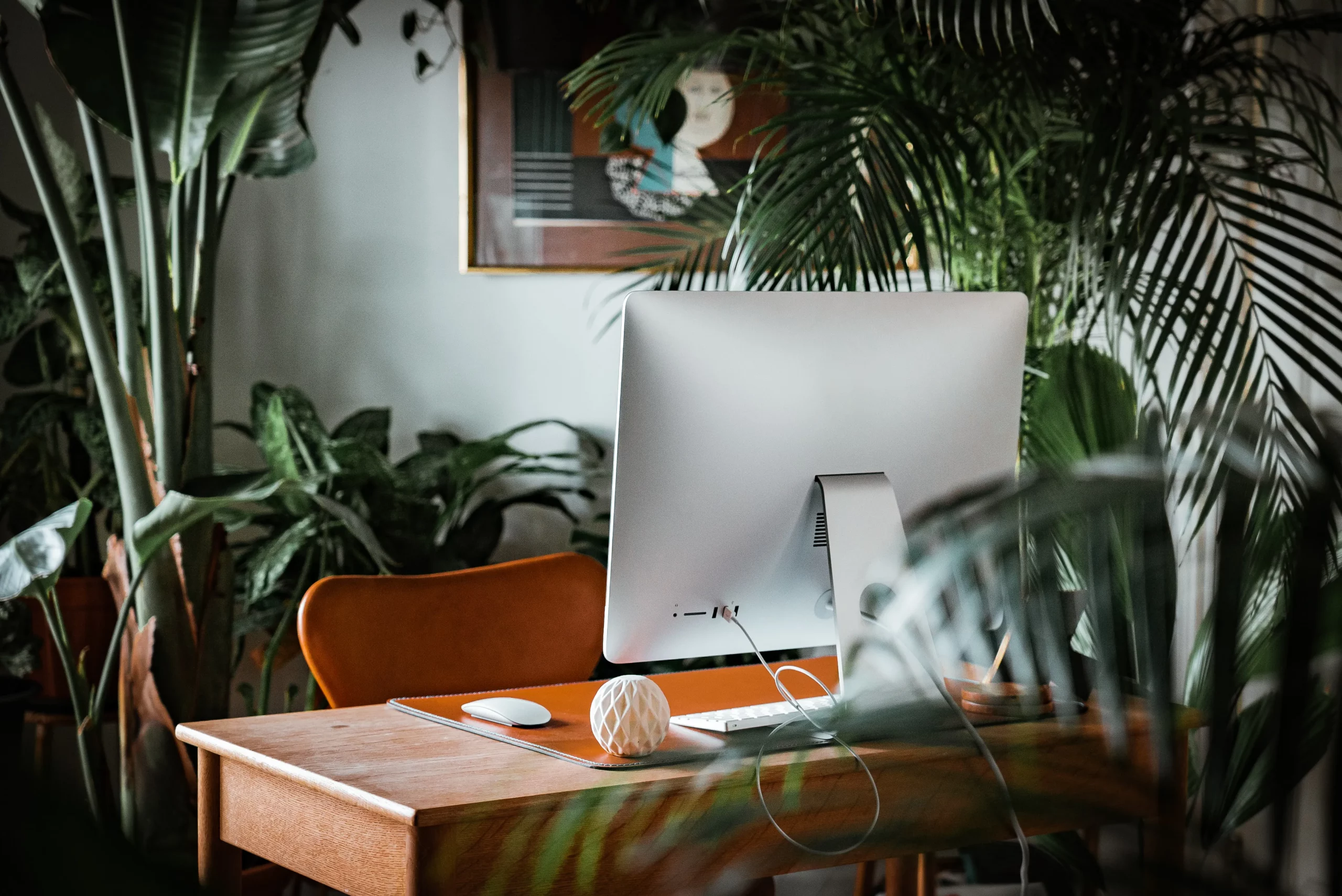 Computer in an office filled with plants